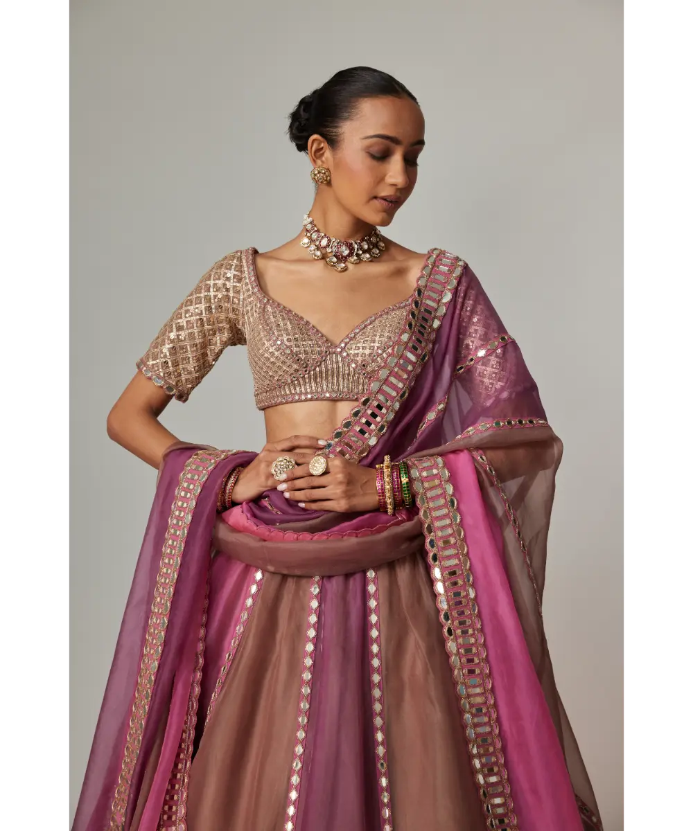 VVANI VATS - Mud mauve multicolor Lehenga with Elbow Sleeve Blouse